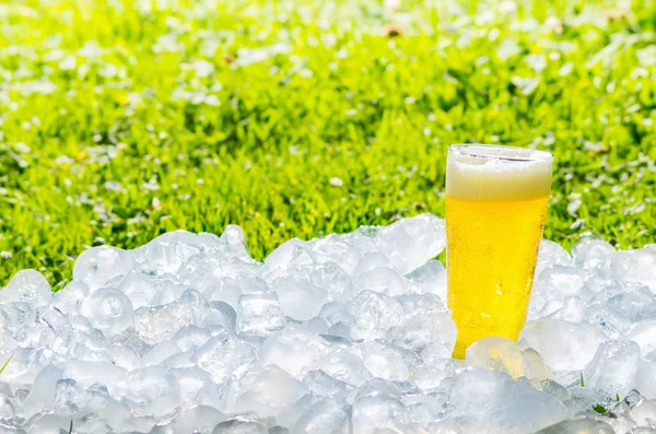 Una birra e un giardino in estate — Foto Stock