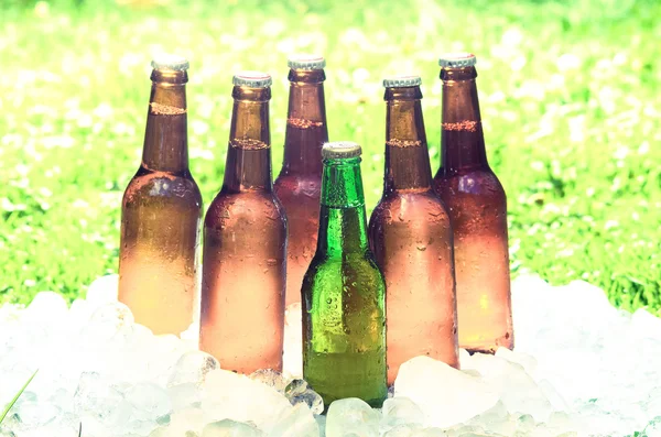 Bière et glace, herbe floue avec une lumière intense et brillante — Photo