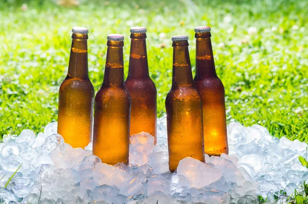 Cerveza en un montón de hielo afuera — Foto de Stock