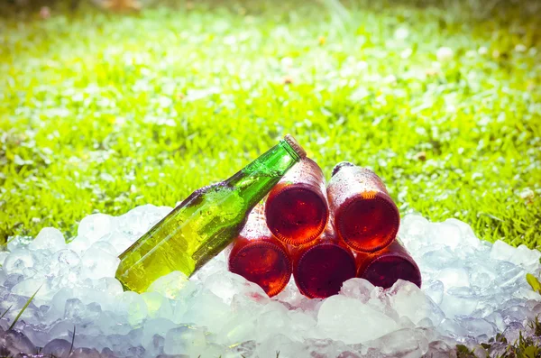 Bière et glace, herbe floue avec une lumière intense et brillante — Photo