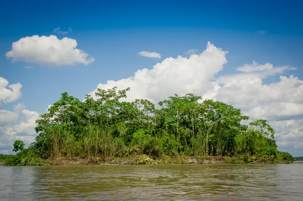 Forêt tropicale humide à Amazonas, Amérique du Sud — Photo