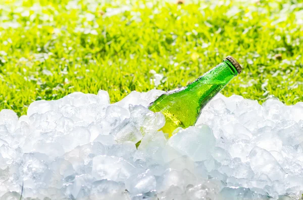 Bière et glace, herbe floue avec une lumière intense et brillante — Photo