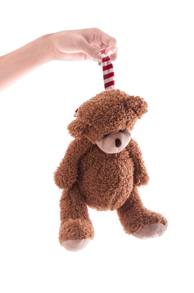 Hanging teddy bear