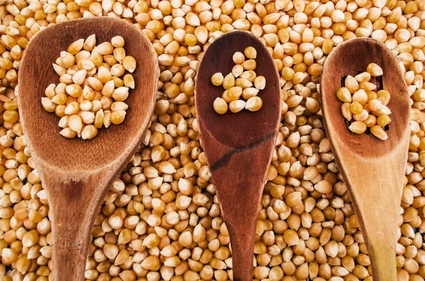 Wood spoon and grains — Stock Photo, Image