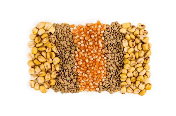 Grains corn — Stock Photo, Image