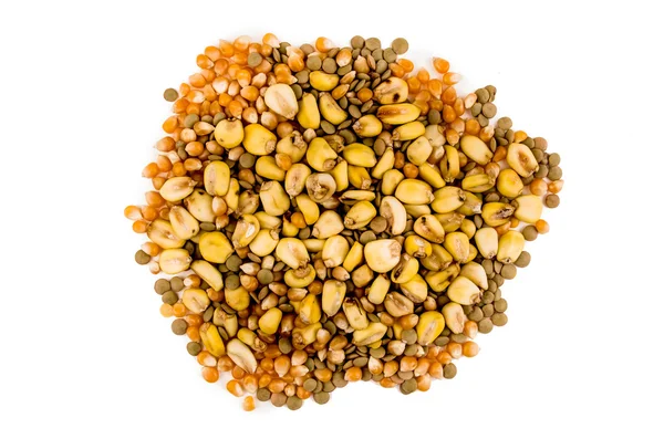 Grains corn — Stock Photo, Image