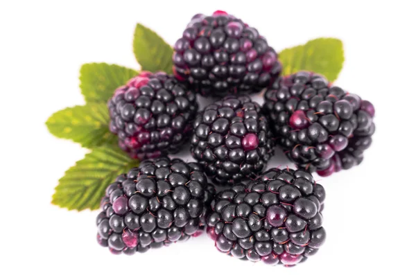 Brombeeren — Stockfoto