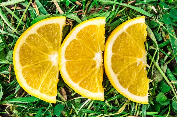 Saftige Orange in Scheiben geschnitten auf Gras — Stockfoto