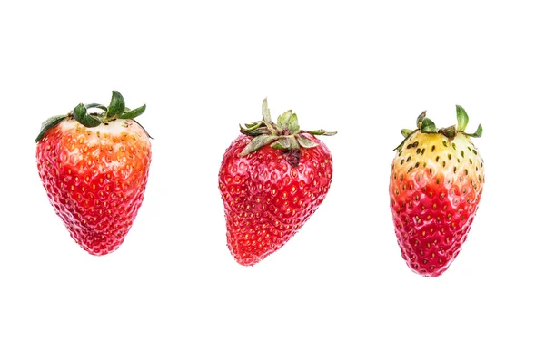 흰색 바탕에 유기농 딸기 — 스톡 사진