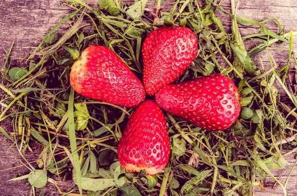 Erdbeeren auf Gras — Stockfoto