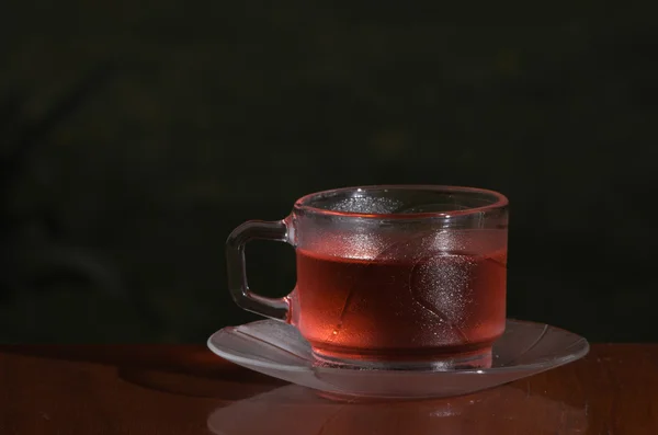 Vörös tea — Stock Fotó