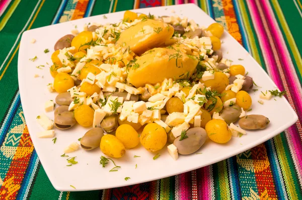 Beans and cheese — Stock Photo, Image