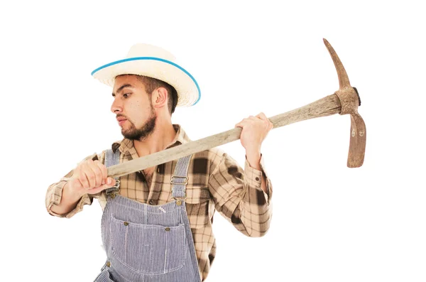 Hispanic farmer pick — Stock Photo, Image