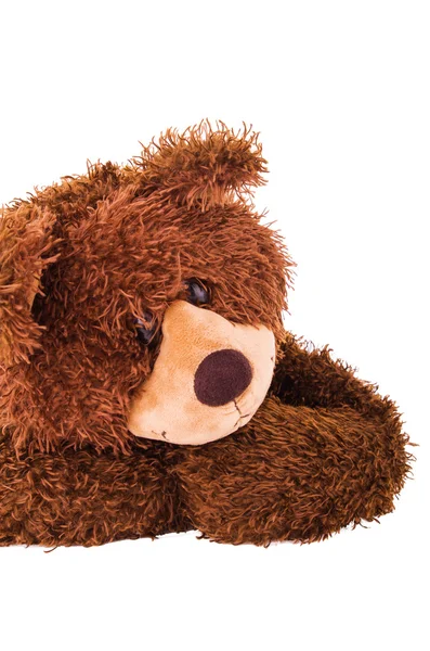 Brown teddy bear face closeup — Stock Photo, Image