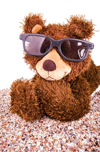 Brown teddy bear with sunglasses — Stock Photo, Image