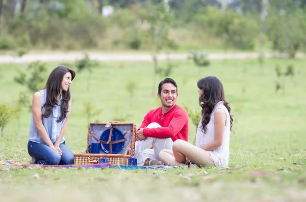 Piknik açık havada olan arkadaş grubu — Stok fotoğraf