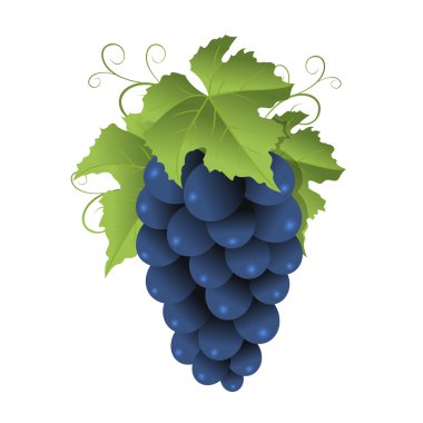 Mavi üzüm