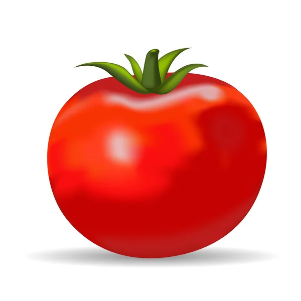 Tomate rojo — Archivo Imágenes Vectoriales