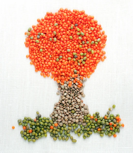 Uma árvore feita de lentilhas e feijão mungo Fotos De Bancos De Imagens Sem Royalties