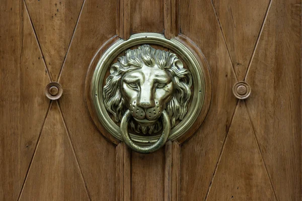 Punho de porta em forma de cabeça de leão — Fotografia de Stock