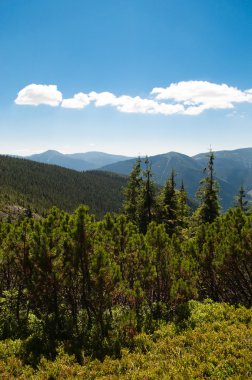güzel dağ manzarası
