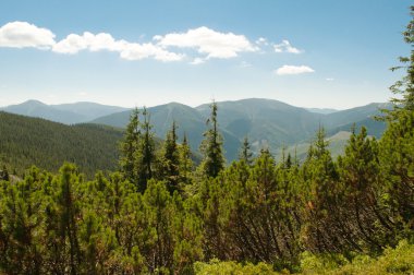 güzel dağ manzarası