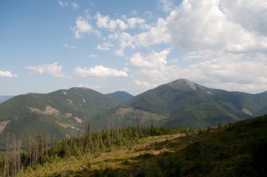 güzel dağ manzarası