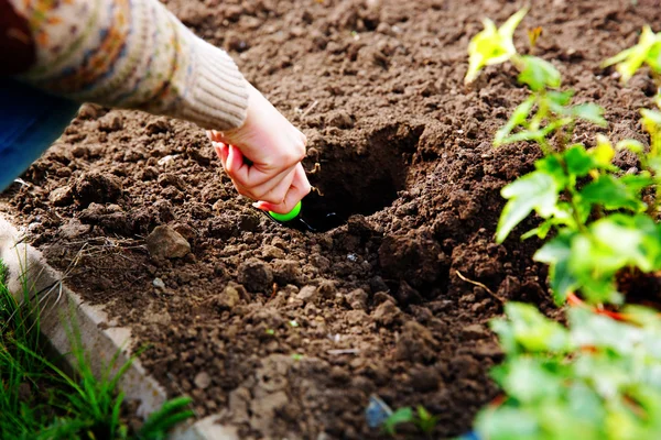 Belle femme dans le jardin — Photo