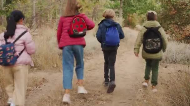 Visão Traseira Grupo Multinacional Crianças Que Correm Pelo Parque — Vídeo de Stock