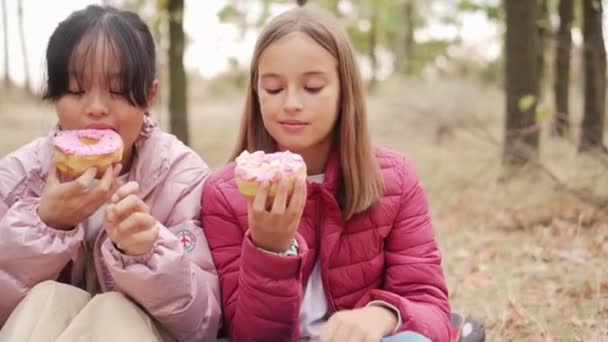 ピクニックでドーナツを食べる多国籍の女の子 — ストック動画