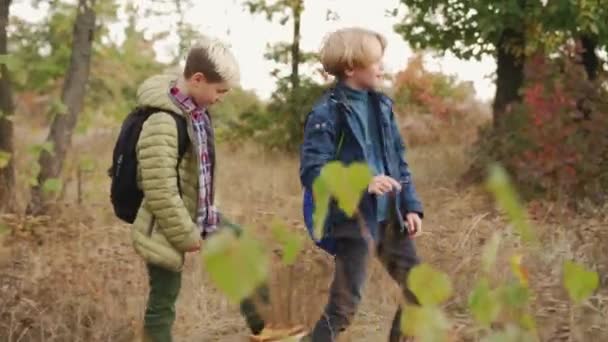 Vista Lateral Duas Crianças Homens Procura Algo Grama Parque — Vídeo de Stock