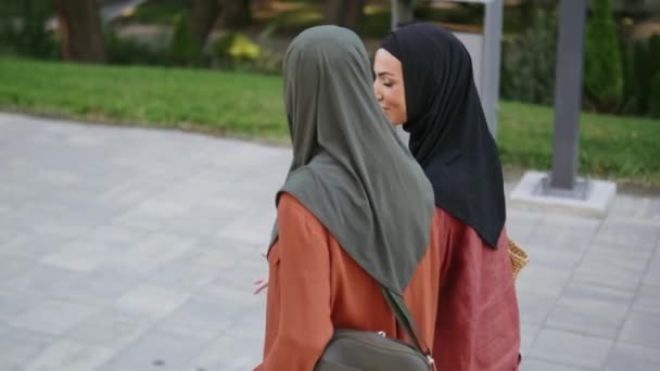 屋外を歩いている間に話している2人のイスラム教徒の女性のバックビュー — ストック動画