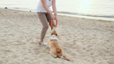 Neşeli olgun kadın sahilde Corgisiyle oynuyor.