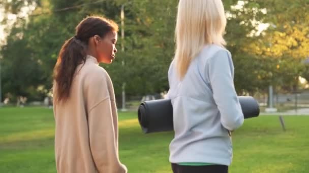 Bakoversikten Multinasjonale Modne Kvinner Som Skal Yoga Utendørs – stockvideo