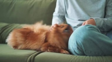Kadın pozitif köpeğini evde okşuyor.