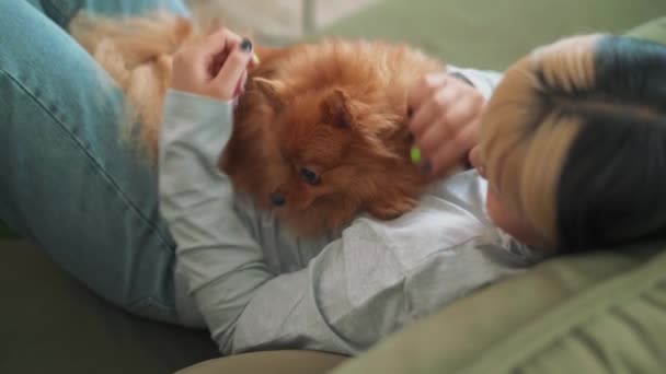Powrót Widok Azji Kobieta Pieszczoty Jej Pies Domu — Wideo stockowe