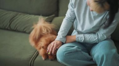 Neşeli Asyalı kadın köpeğini evde okşuyor.