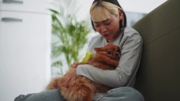 Concentrado Mulher Asiática Escovar Seu Cão Casa — Vídeo de Stock