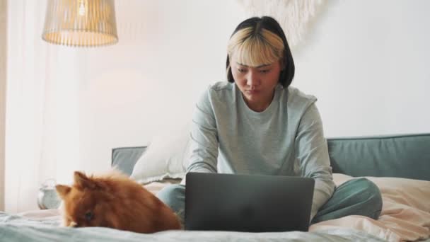 Positivo Asiatico Donna Guardando Laptop Con Suo Cane Sul Letto — Video Stock