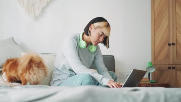 Riendo Mujer Asiática Mirando Computadora Portátil Acariciando Perro Cama Casa — Vídeo de stock