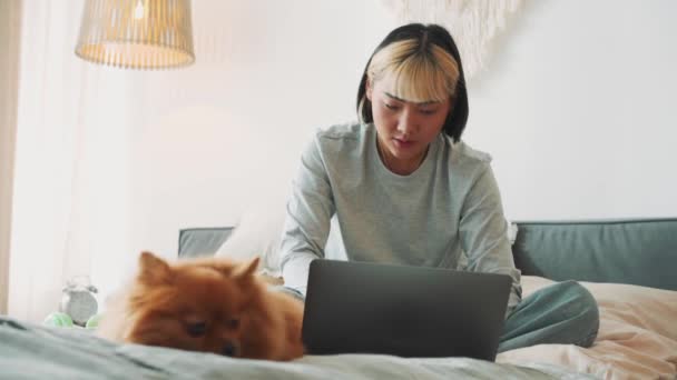 Feliz Mujer Asiática Mirando Computadora Portátil Acariciando Perro Cama Casa — Vídeo de stock