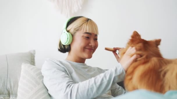 Lachende Asiatin mit Kopfhörern streichelt ihren Hund zu Hause auf dem Bett