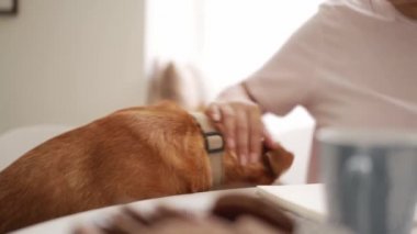Afrikalı bir kadın köpeğini okşuyor.