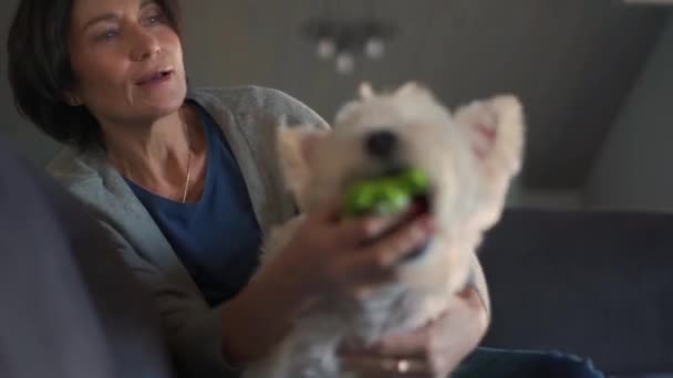 Mujer Madura Positiva Jugando Con Perro Casa — Vídeo de stock