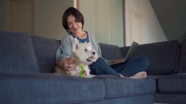 Bilgisayarda Çalışan Köpeğini Okşayan Mutlu Olgun Bir Kadın — Stok video