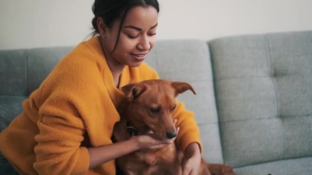 Χαμογελαστή Αφρικανή Που Αγκαλιάζει Σκύλο Της Στον Καναπέ — Αρχείο Βίντεο