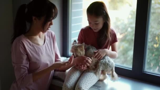 Glad Asiatisk Mamma Och Dotter Smeker Sin Hund Fönsterbrädan — Stockvideo