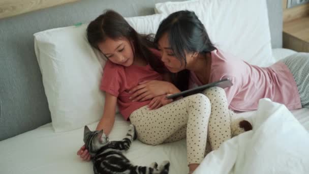 Schöne Asiatische Mutter Und Tochter Streicheln Ihr Kätzchen Hause — Stockvideo