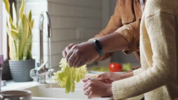 Far Lærer Datteren Vaske Salatblader – stockvideo