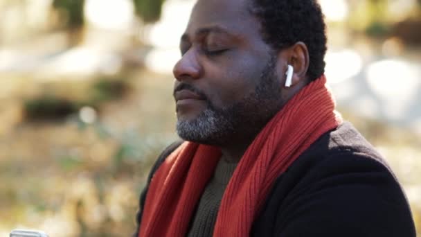 Счастливый Африканский Мужчина Наушниках Слушает Музыку Парке Открытом Воздухе — стоковое видео